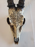 Bone Stag Head with Carving