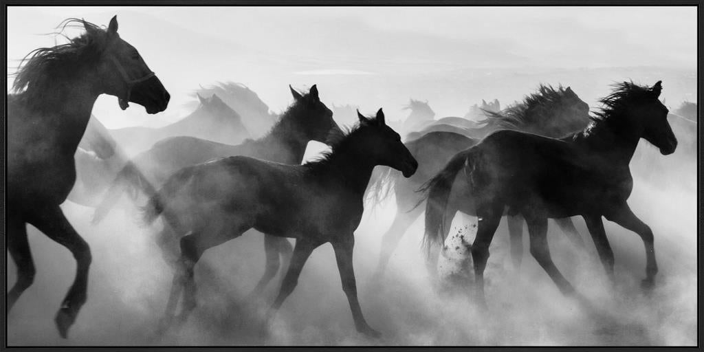 Wild Horses Canvas W/ Black Frame