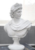 Apollo Bust - White