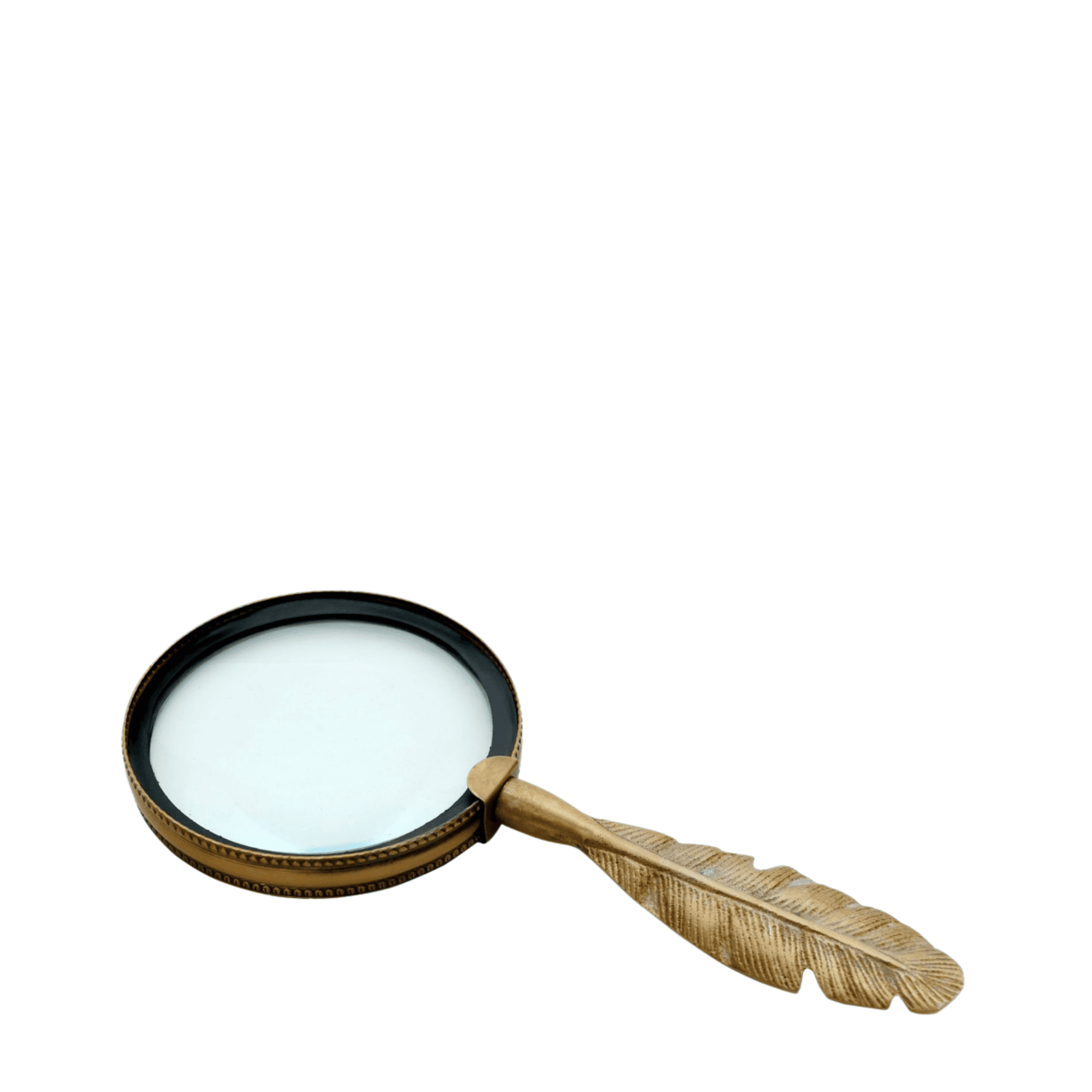 Feather Magnifying Glass