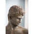 Atticus Bust Indoor/Outdoor