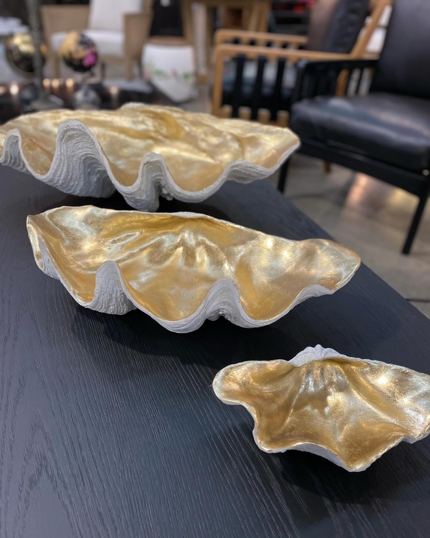 Resin Clam Shell Champagne Large