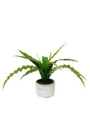 Potted Fern with Chevron Pot 38cm