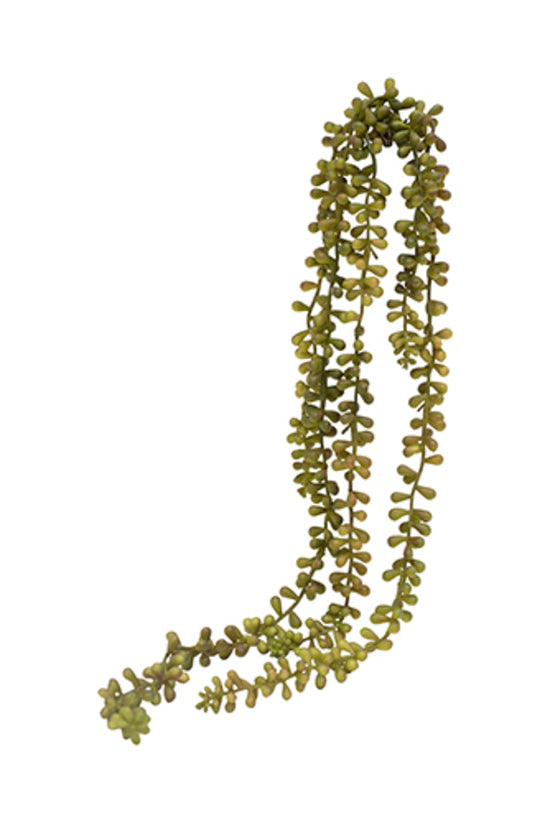 String of Pearls Spray Red/Green