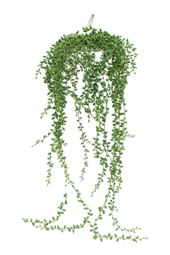 String of Pearls on Hanger 66cm