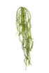 Hanging Tassel Fern - Faux Plant