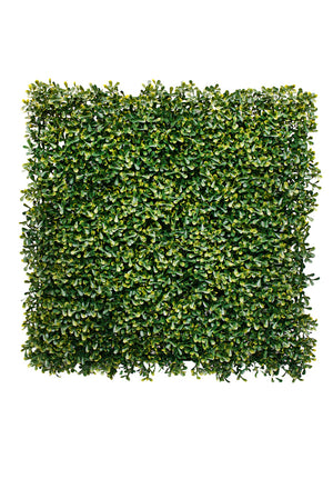 Boxwood Square 50cm x 50cm