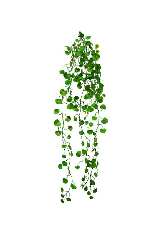 Button Fern Vine - Faux Plant