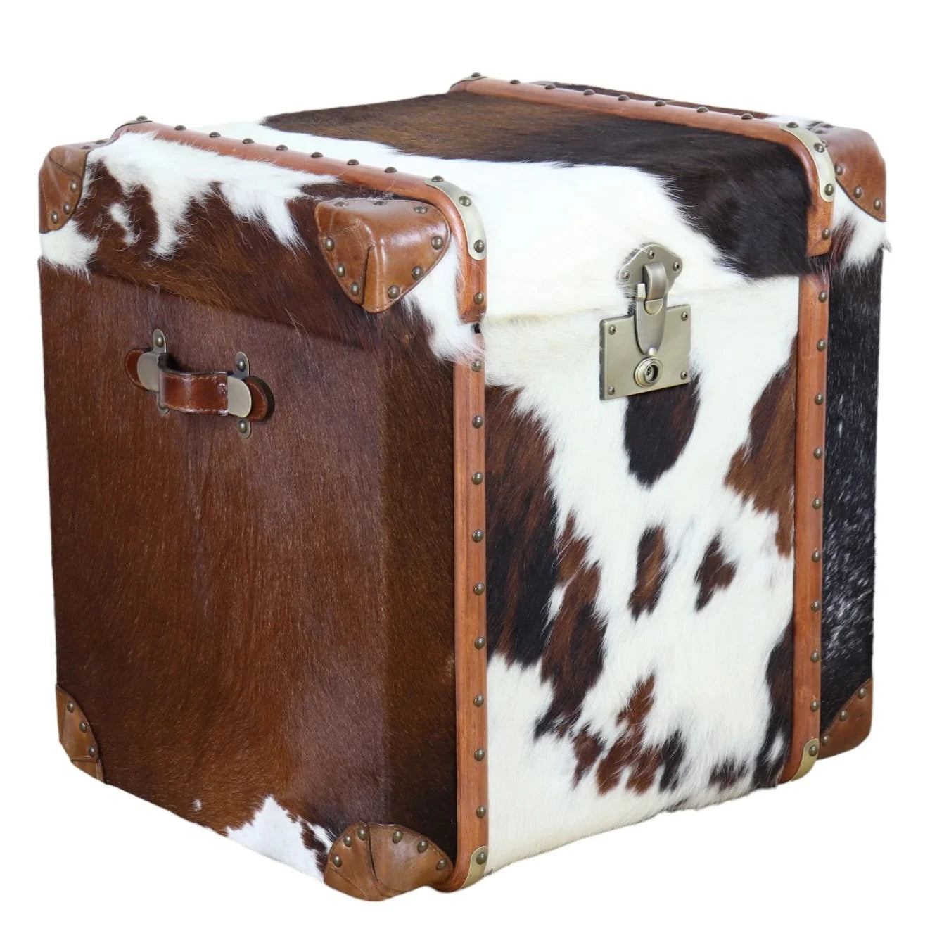 Cow Hide Trunk