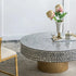 Juliana Shell Coffee Table