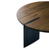 Tsubaki Coffee Table