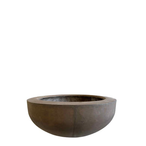 Levigare Planter Fossil