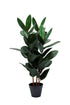 Rubber Elastica Plant 115cm