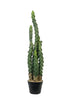 Cactus Potted 81cm