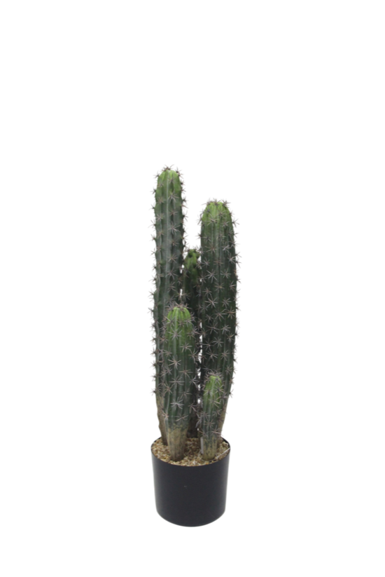 Cactus Potted 72cm