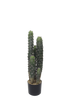 Cactus Potted 72cm