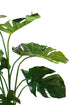 Monstera Potted Plant 76cm