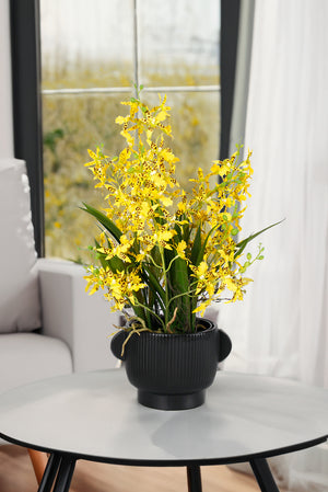 Potted Dancing Orchid 58cm