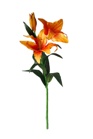 Tiger Lily Orange