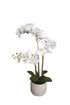 Cement Pot Real Touch Orchid - 66cm