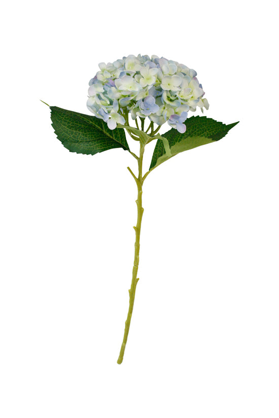 Hydrangea Short Stem 45cm Blue