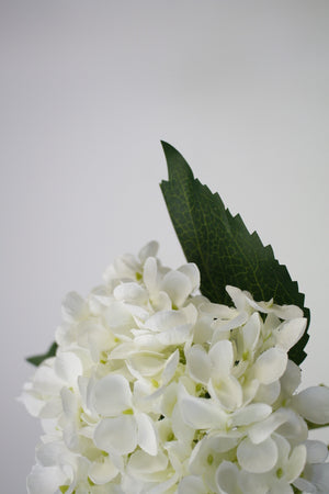 Hydrangea Short Stem 45cm White