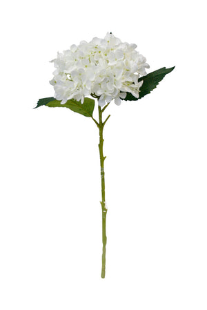 Hydrangea Short Stem 45cm White