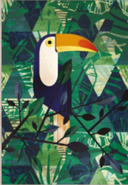 Framed Canvas Art - Toucan