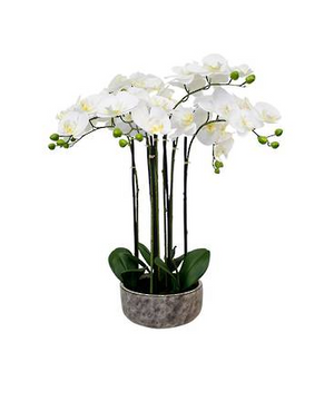 Potted Orchid in Rustic Pot 87cm