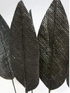 Pandan Deco Leaf - Black