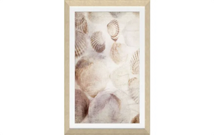 Seashells Framed Textured Print