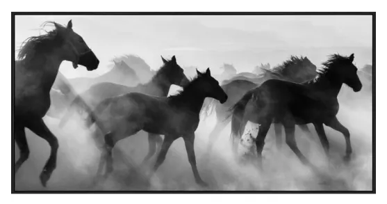 Wild Horses Canvas W/ Black Frame