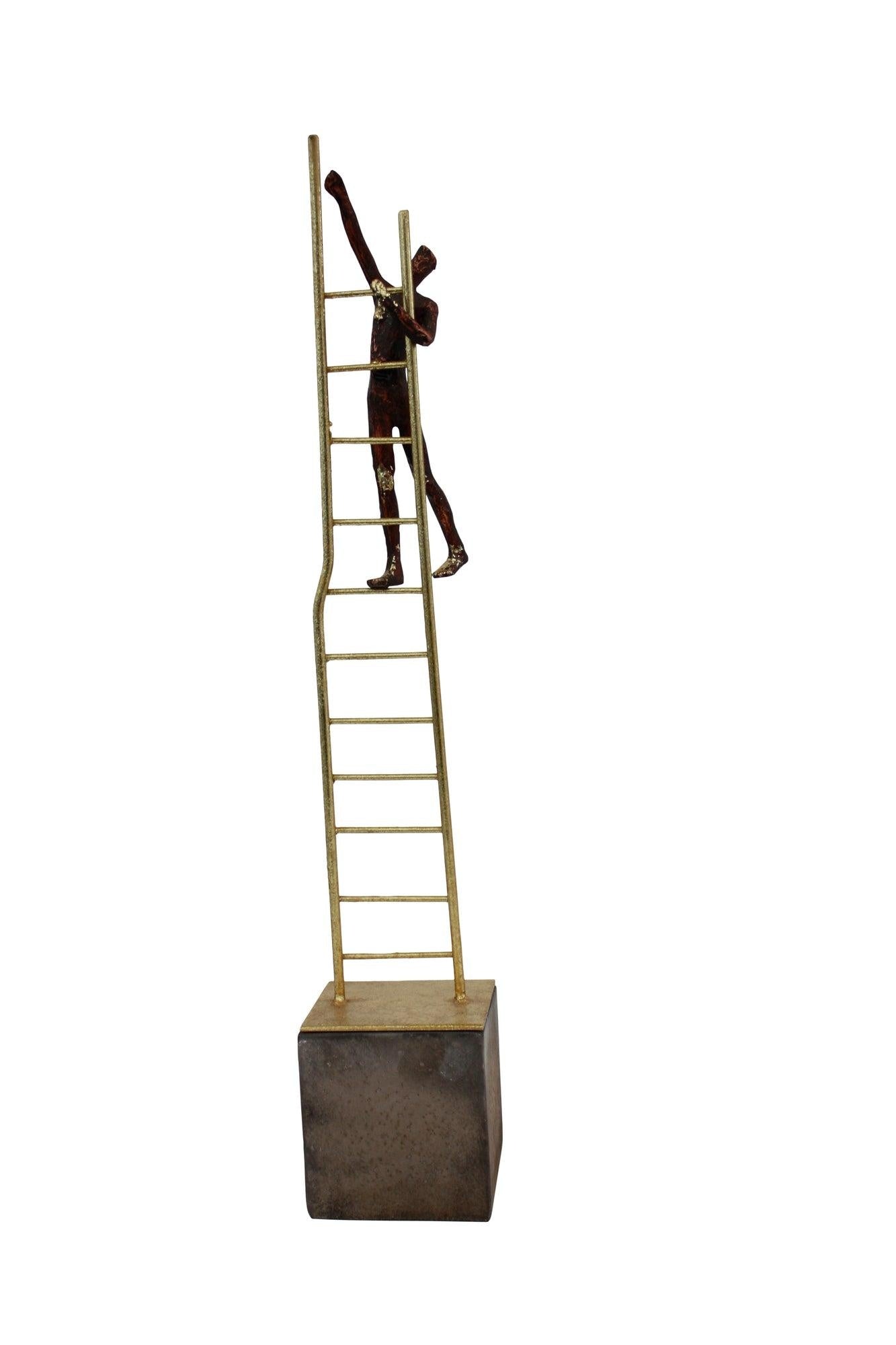 Man Climbing on Ladder