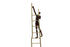 Man Climbing on Ladder