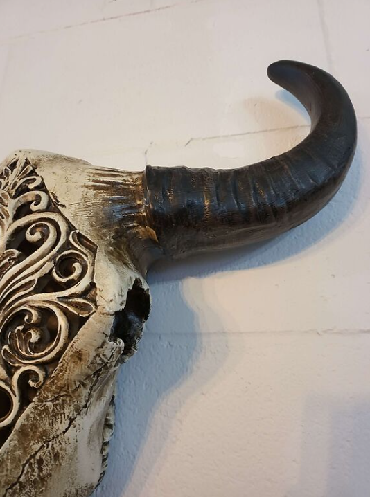 Carved Bulls Head | Skull Wall Decor - Resin