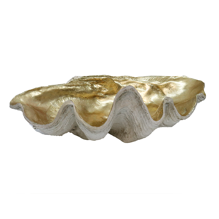 Resin Clam Shell Champagne XL