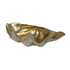 Resin Clam Shell Champagne Large