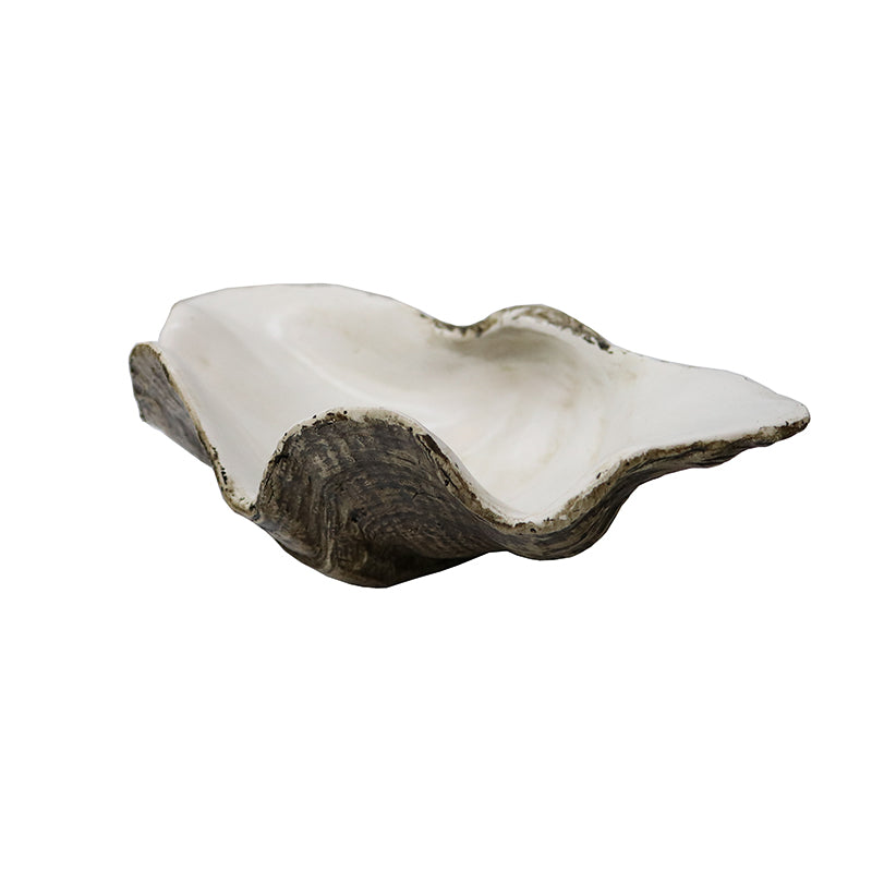 Resin Clam Shell Small