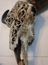 Carved Bulls Head | Skull Wall Decor - Resin