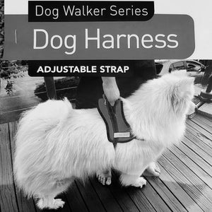 Dog Harness heavy Duty