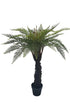 Potted Punga Fern 123cm