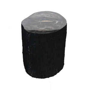 Petrified Wood Stump Stool