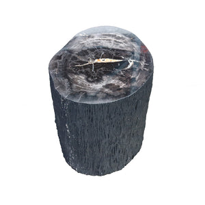 Petrified Wood Stump Stool