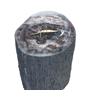 Petrified Wood Stump Stool