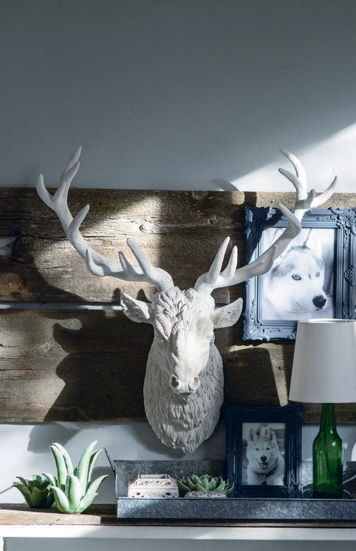 Wall Sculpture- Darby Deer Head