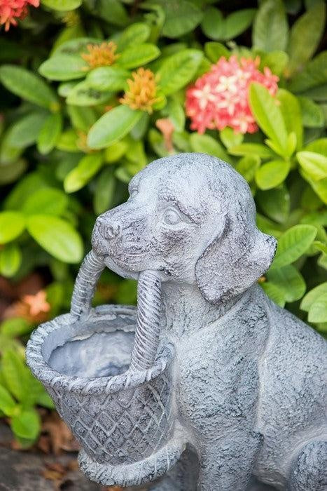 Dog Planter