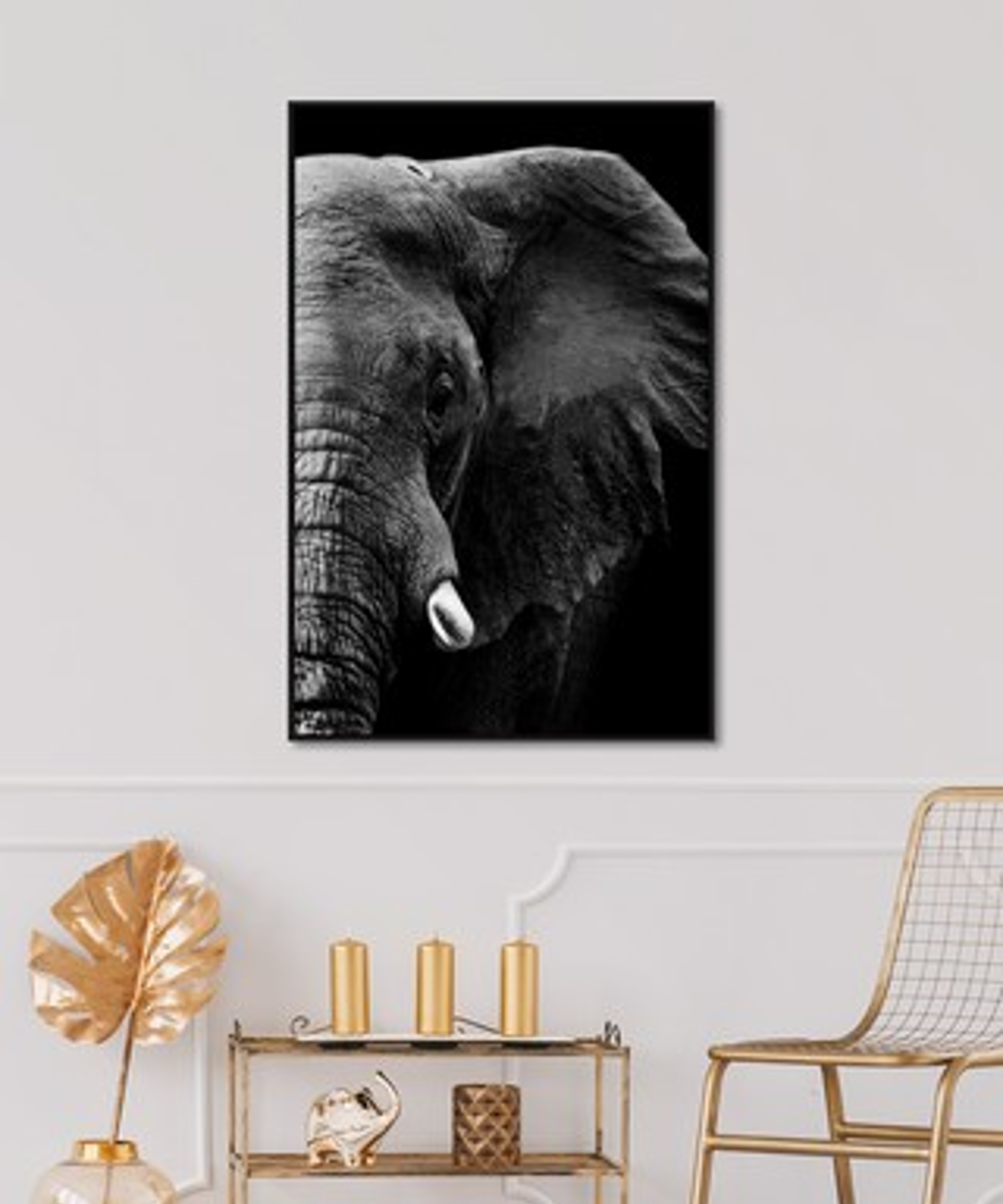 Framed Canvas Art - Tusk